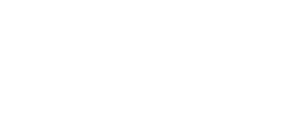 Startup Wise Guys